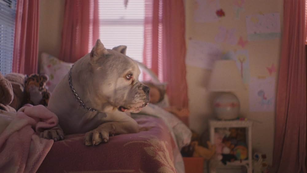 Lola（原題）の画像