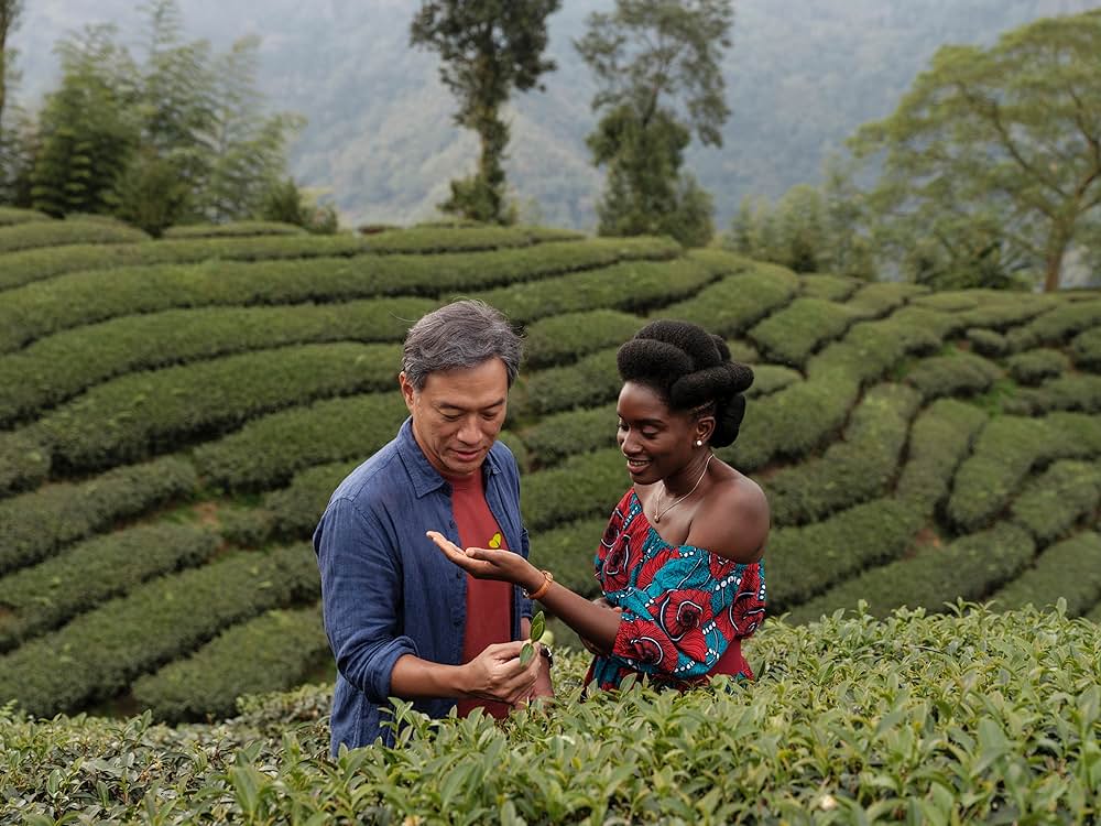 Black Tea（原題）の画像