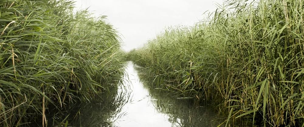 シュナイダーVSバックスの画像