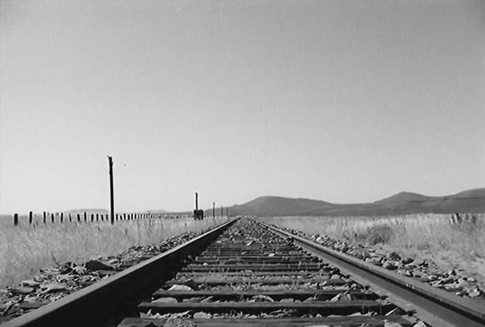 真昼の決闘の画像