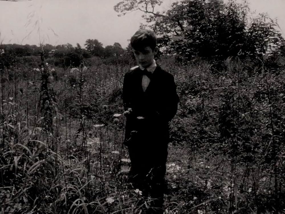 ザ・グランドマザー（原題）の画像