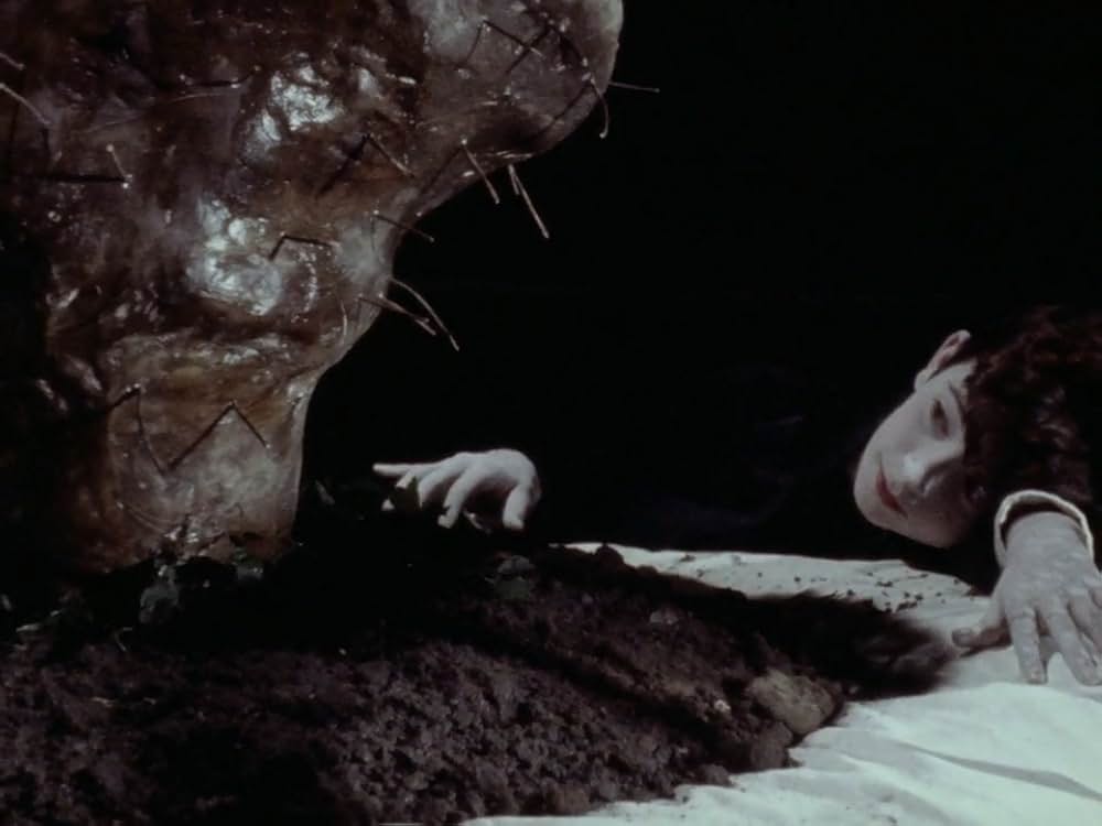 ザ・グランドマザー（原題）の画像