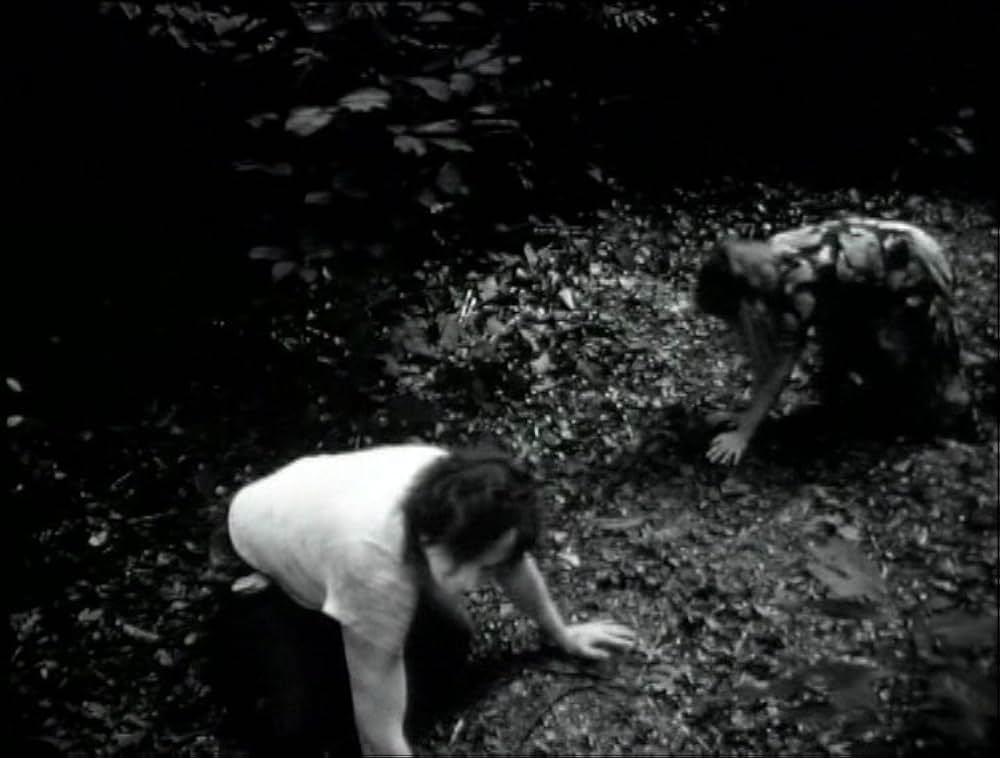 ザ・グランドマザー（原題）の画像