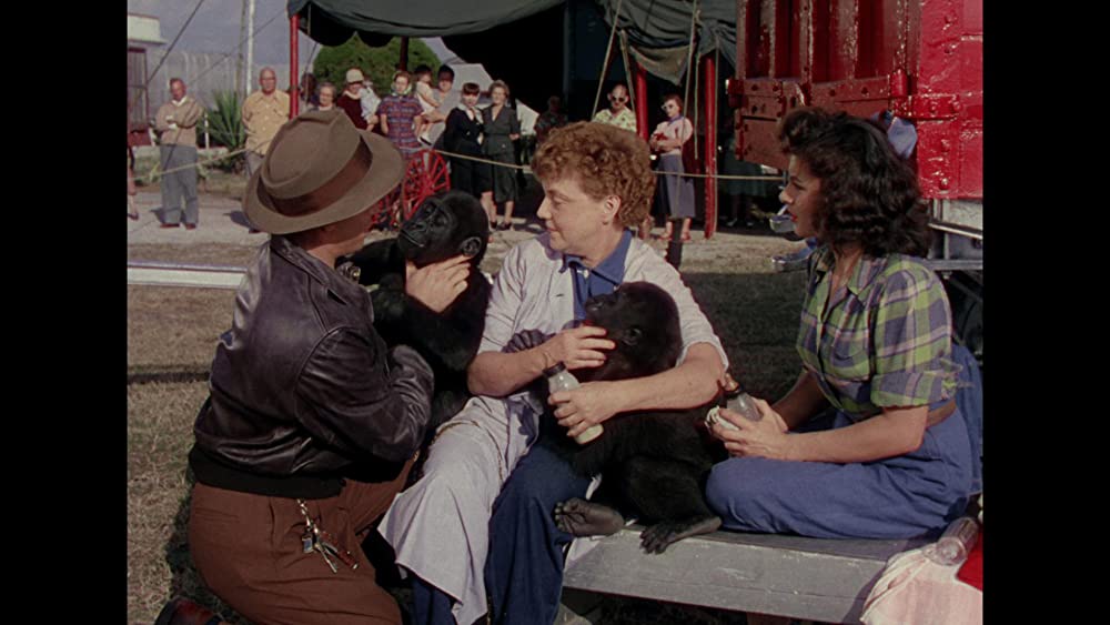 地上最大のショウの画像