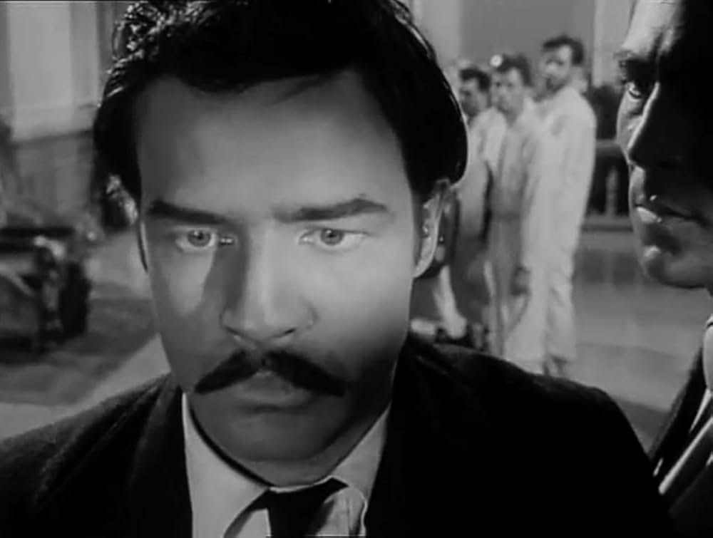 革命児サパタの画像