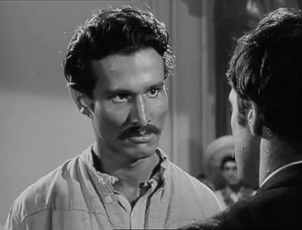 革命児サパタの画像