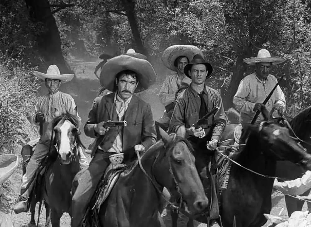 革命児サパタの画像