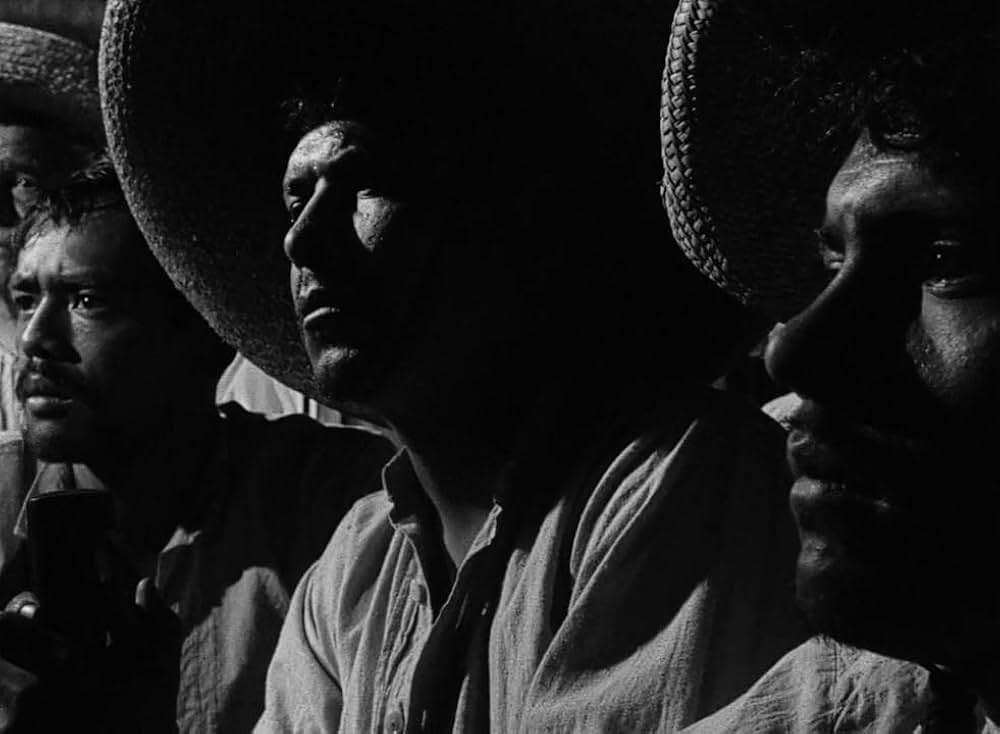 革命児サパタの画像