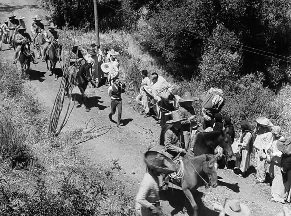 革命児サパタの画像