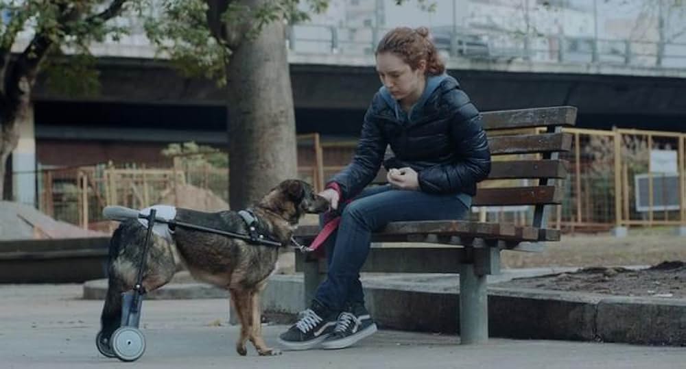 見えない存在の画像