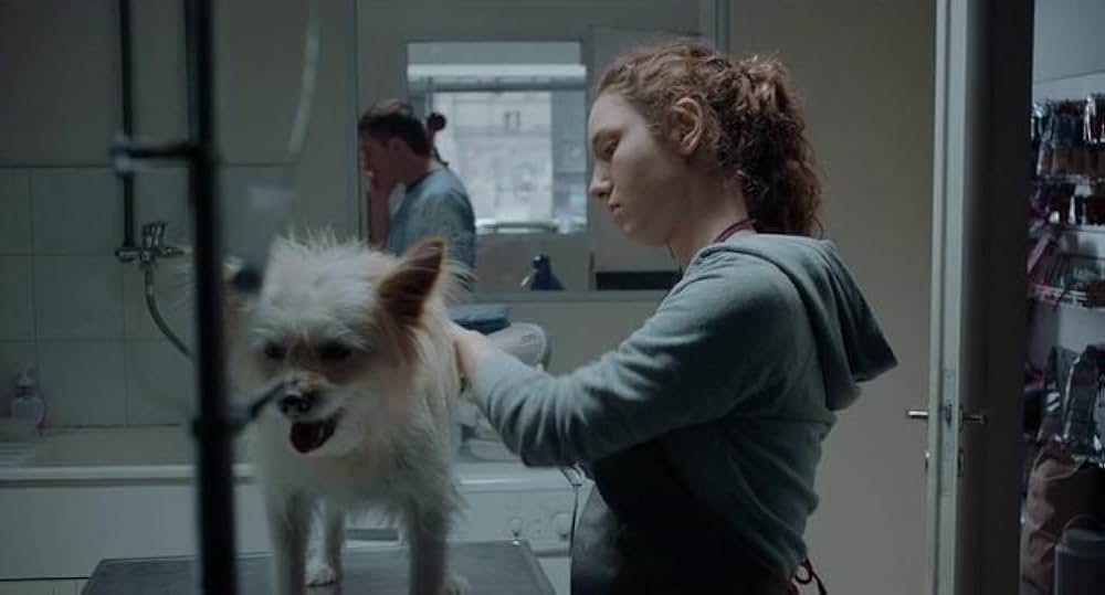 見えない存在の画像