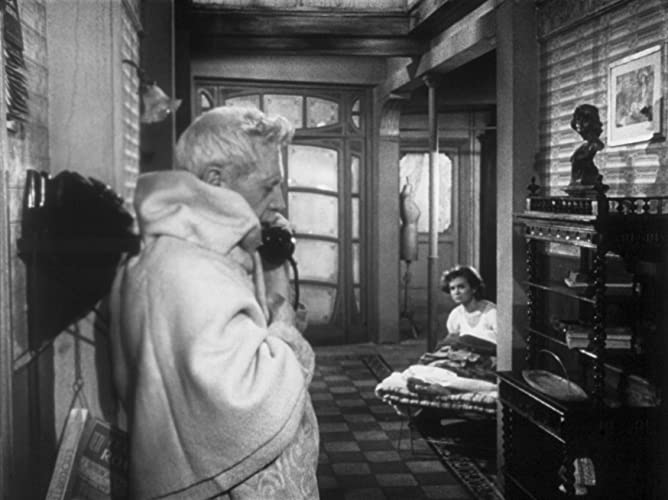 ウンベルトDの画像