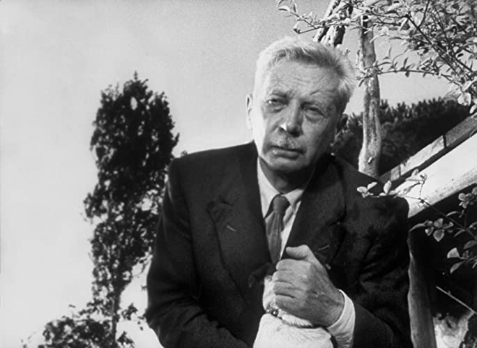 ウンベルトDの画像