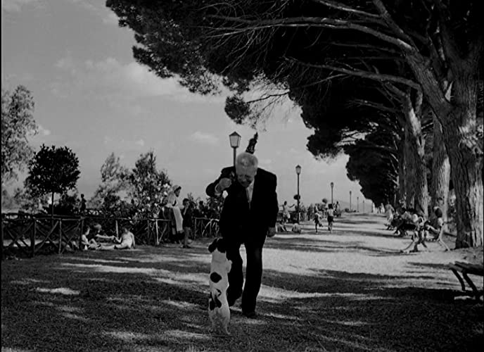 ウンベルトDの画像