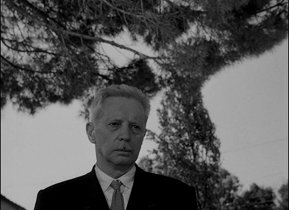 ウンベルトDの画像