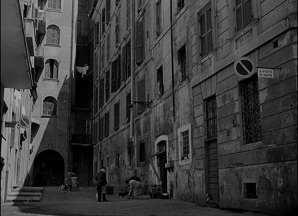 ウンベルトDの画像