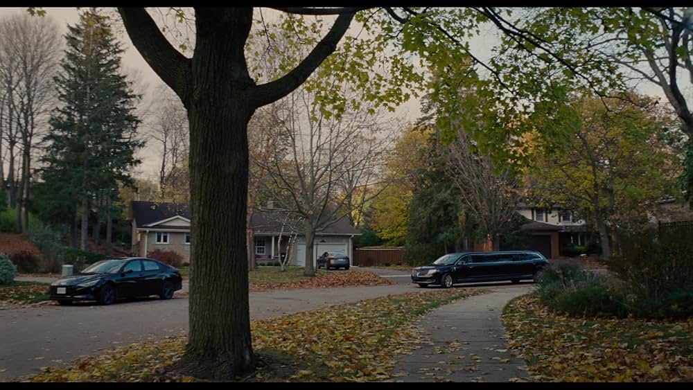 トラップの画像