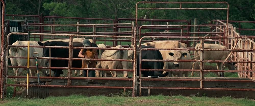 ツイスターズの画像