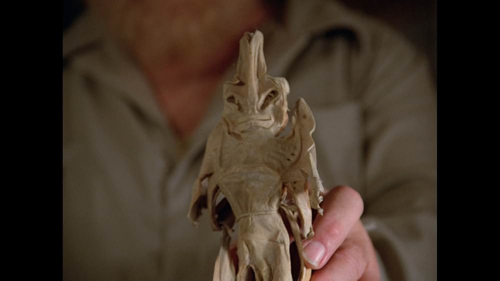 バミューダの謎/魔の三角水域に棲む巨大モンスター!の画像