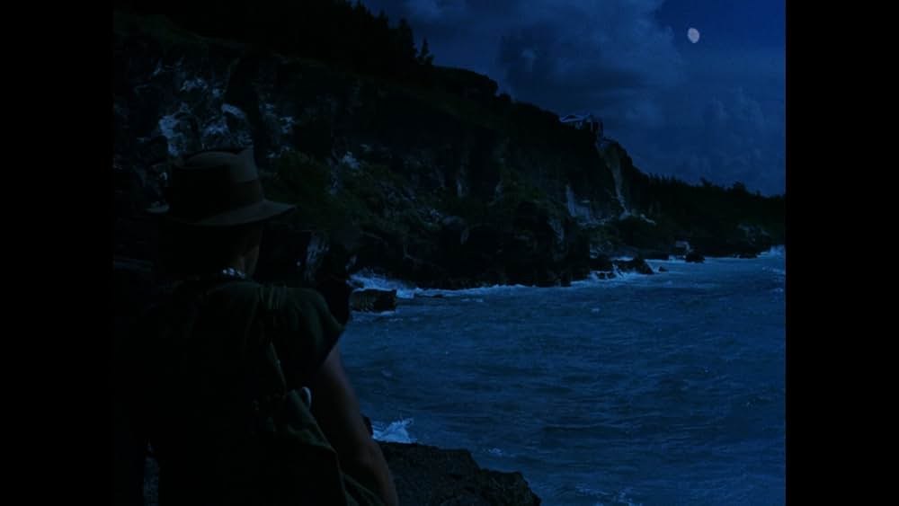 バミューダの謎/魔の三角水域に棲む巨大モンスター!の画像