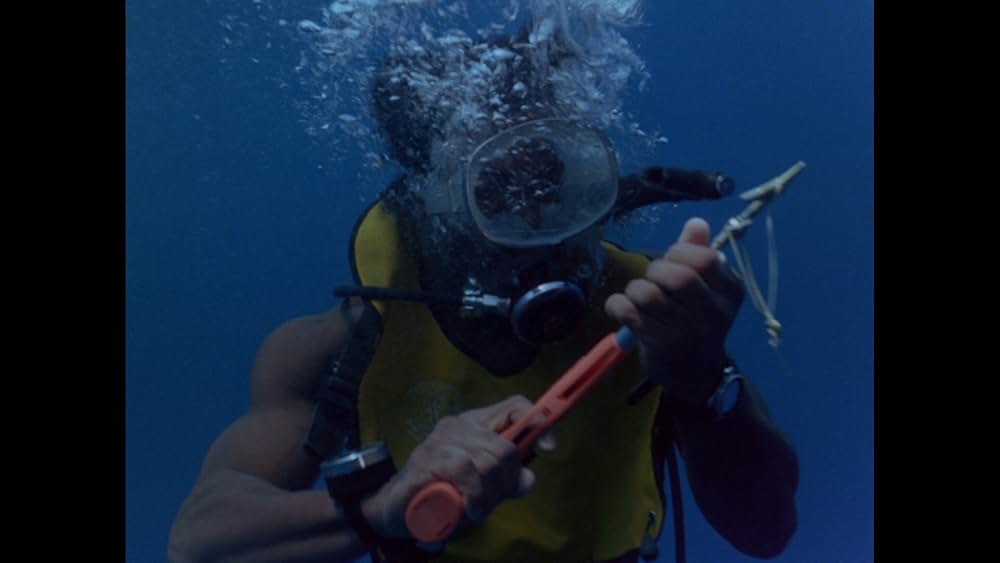 バミューダの謎/魔の三角水域に棲む巨大モンスター!の画像