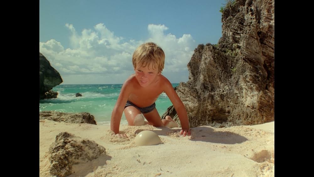 バミューダの謎/魔の三角水域に棲む巨大モンスター!の画像