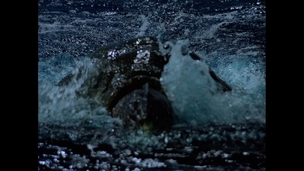 バミューダの謎/魔の三角水域に棲む巨大モンスター!の画像