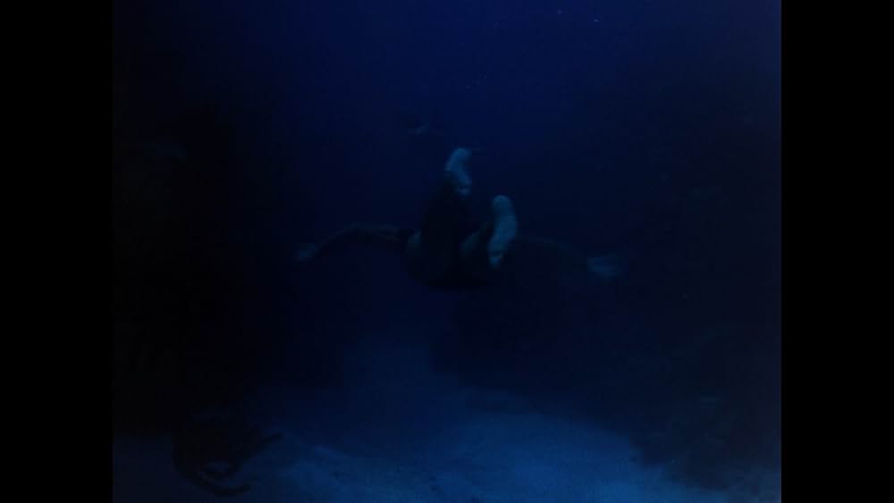 バミューダの謎/魔の三角水域に棲む巨大モンスター!の画像