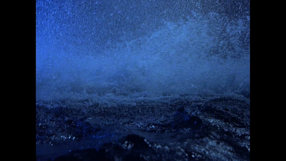 バミューダの謎/魔の三角水域に棲む巨大モンスター!の画像