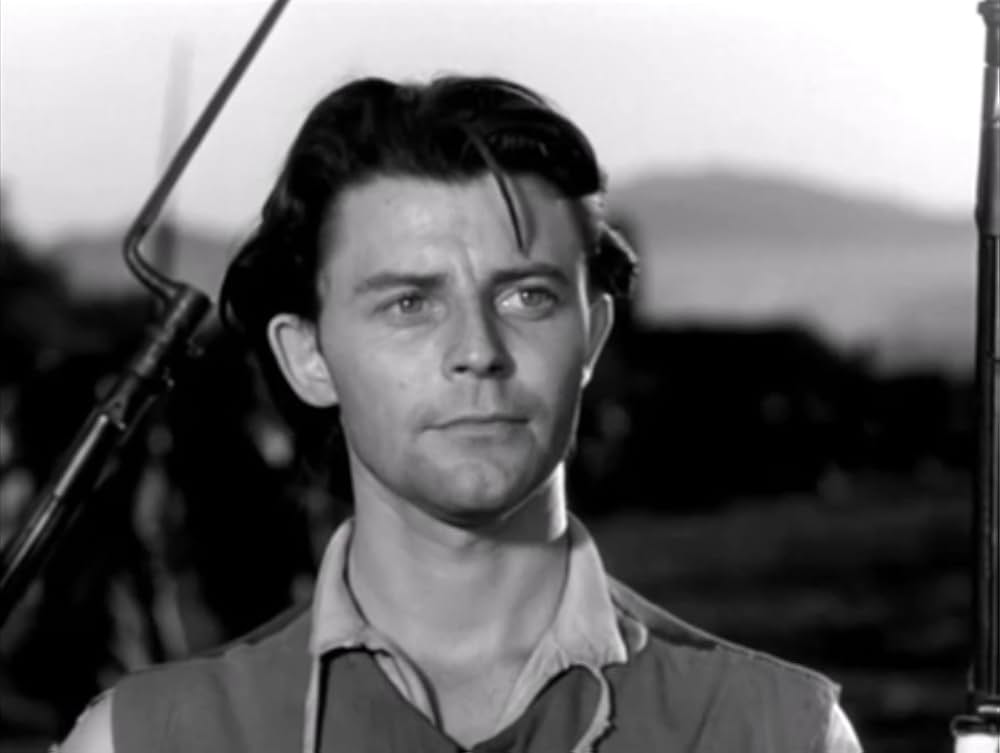 花咲ける騎士道の画像