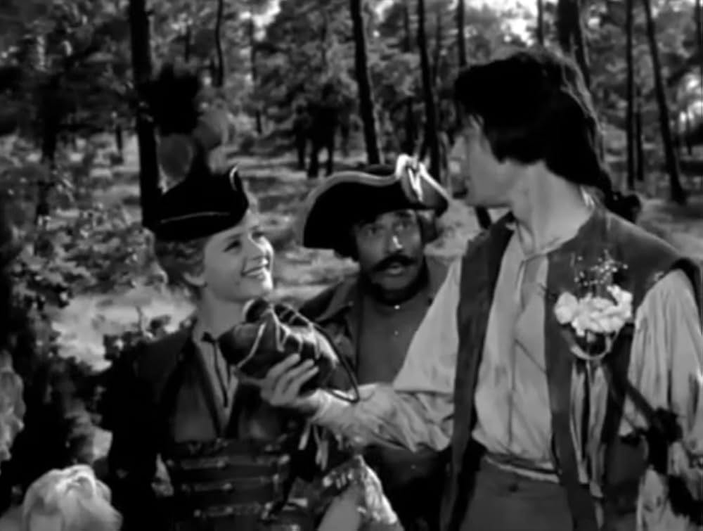 花咲ける騎士道の画像