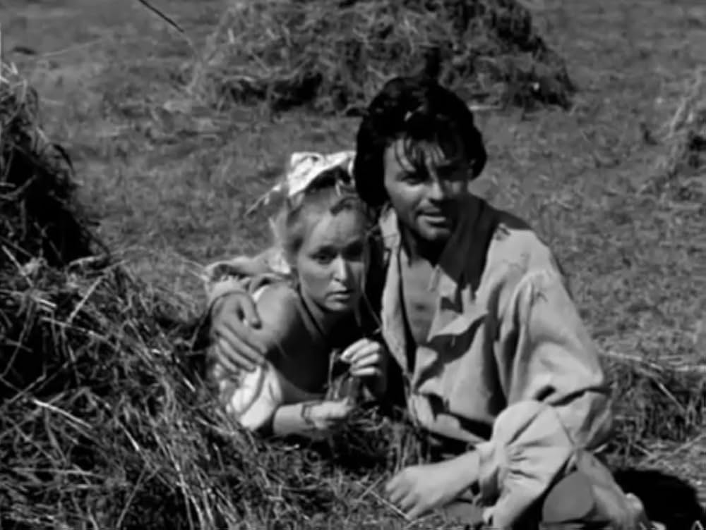 花咲ける騎士道の画像