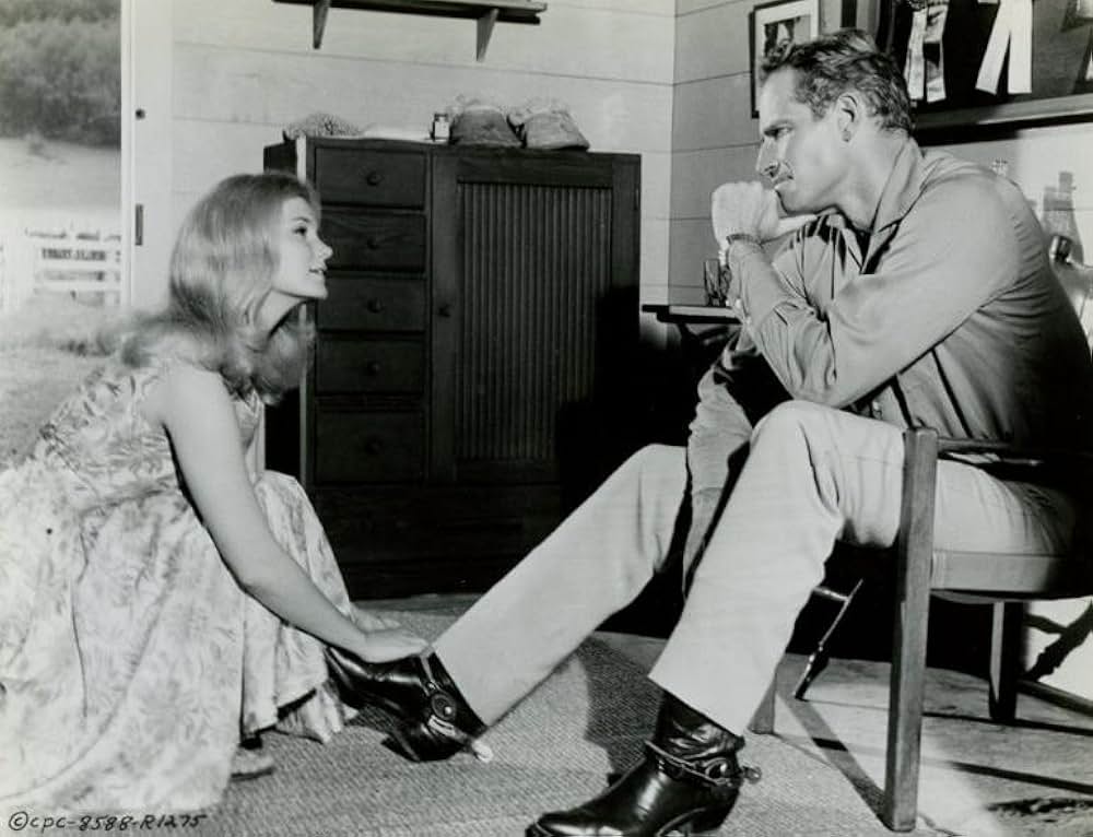 ダイアモンド・ヘッドの画像