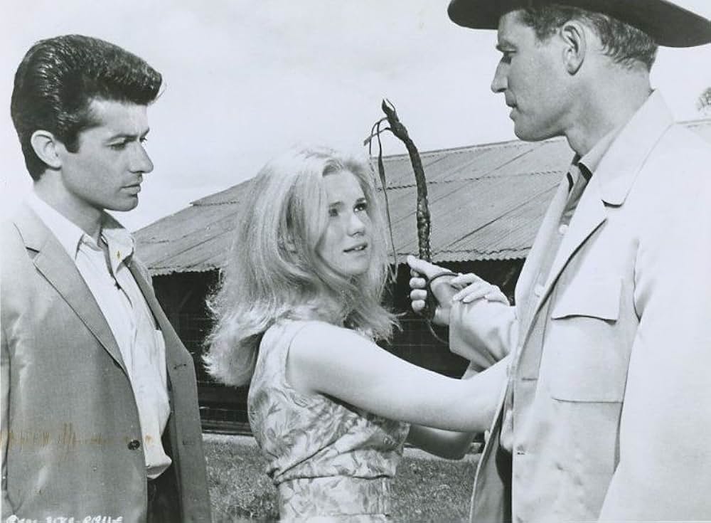 ダイアモンド・ヘッドの画像