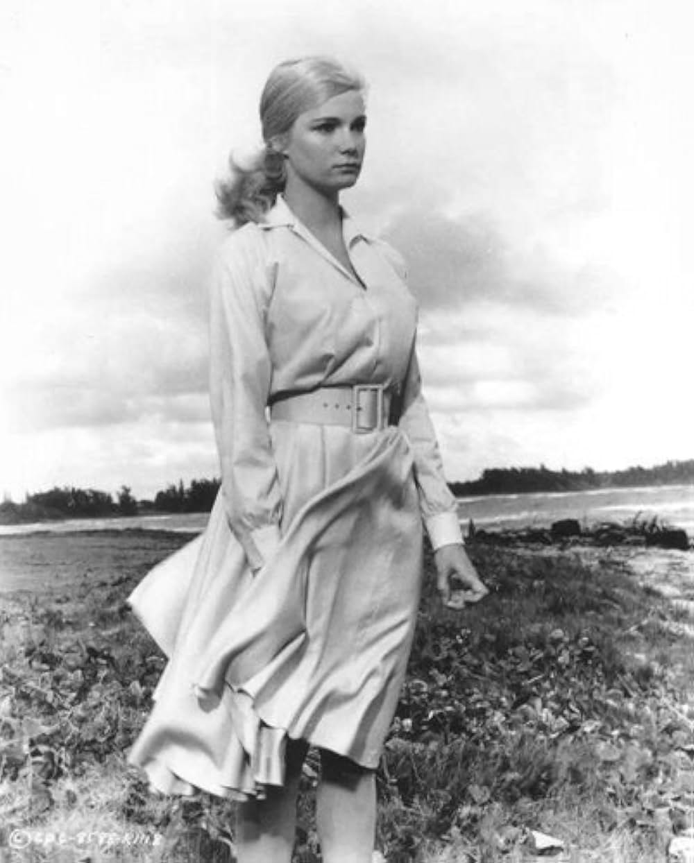 ダイアモンド・ヘッドの画像