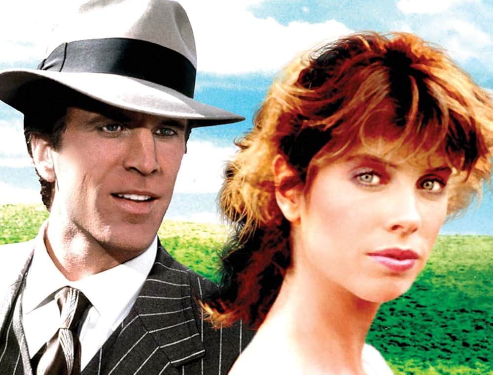 ブレイク・エドワーズの ファイン・メス！！の画像