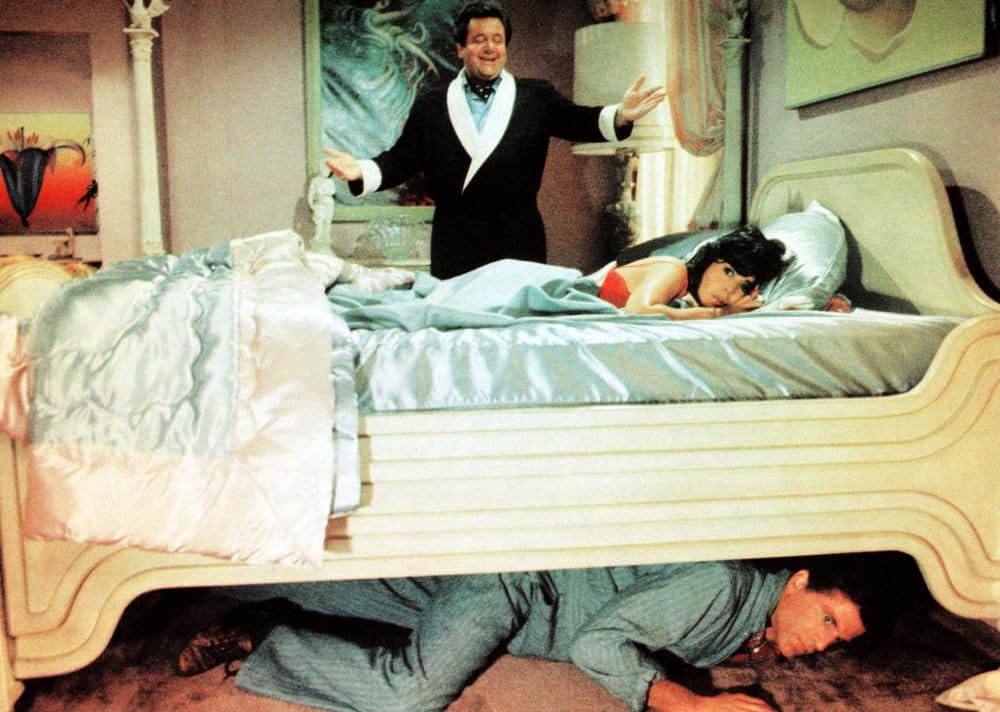 ブレイク・エドワーズの ファイン・メス！！の画像