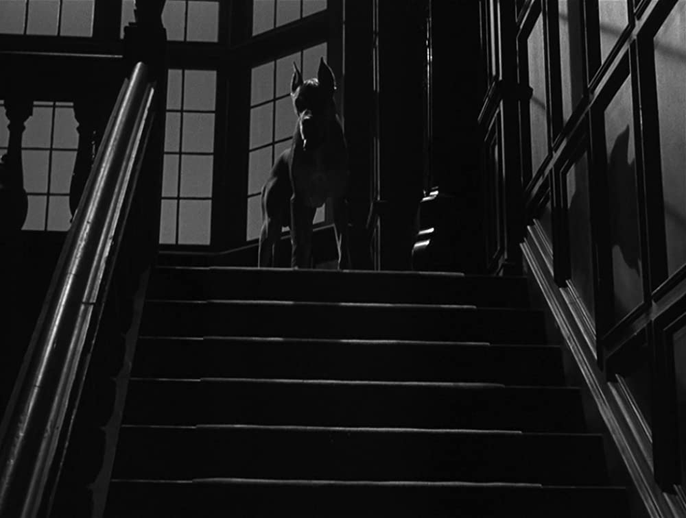 「見知らぬ乗客」の画像