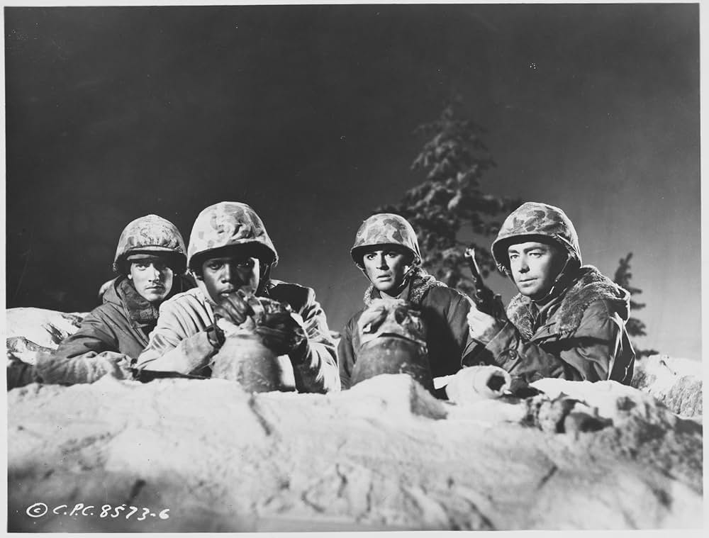 戦う若者たちの写真