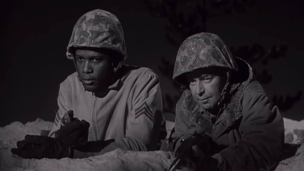 戦う若者たちの画像