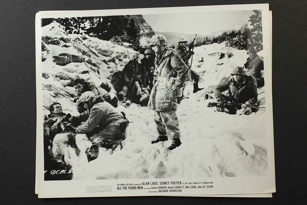 戦う若者たちの画像