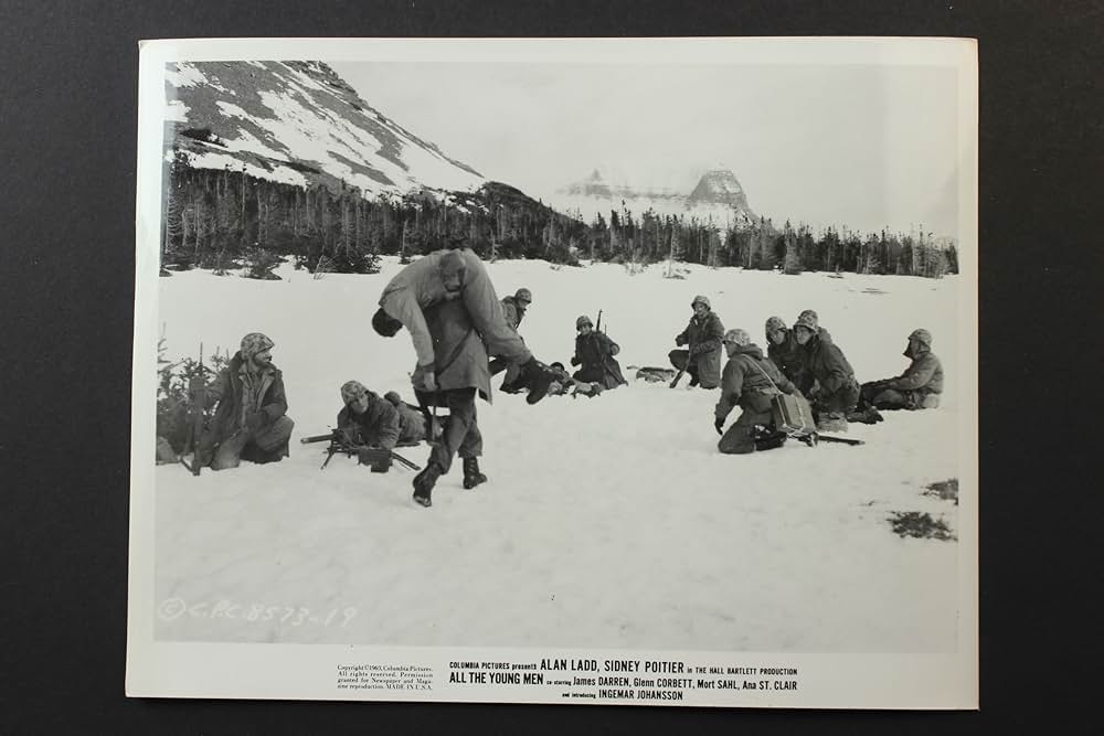 戦う若者たちの画像