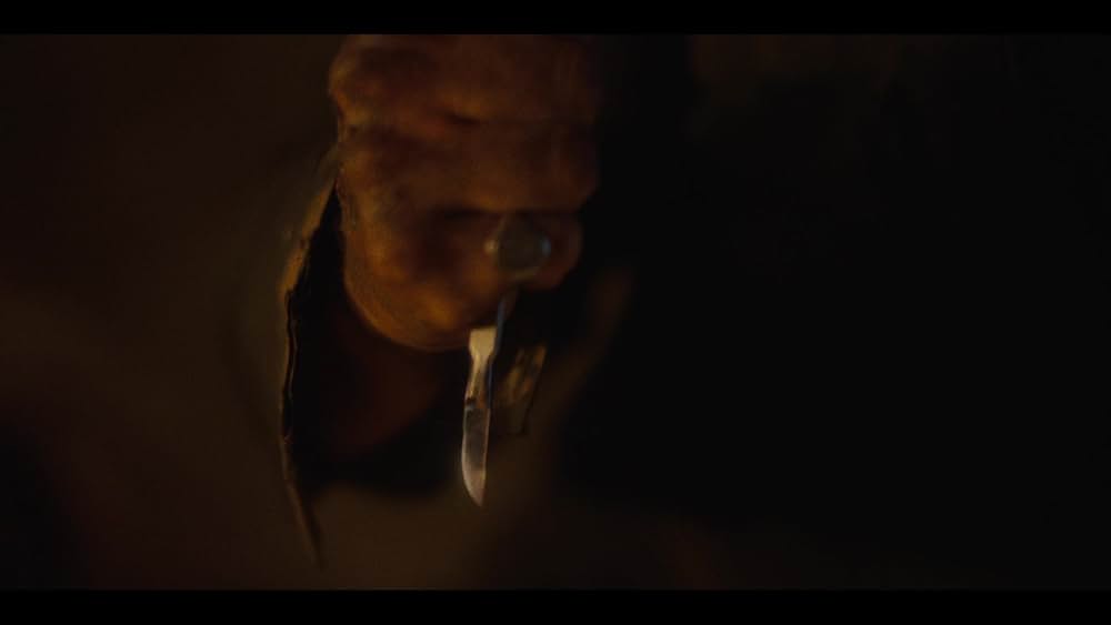 IMMACULATE 聖なる胎動の画像