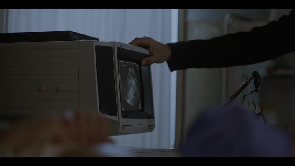 IMMACULATE 聖なる胎動の画像