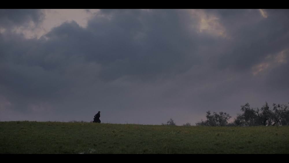 IMMACULATE 聖なる胎動の画像