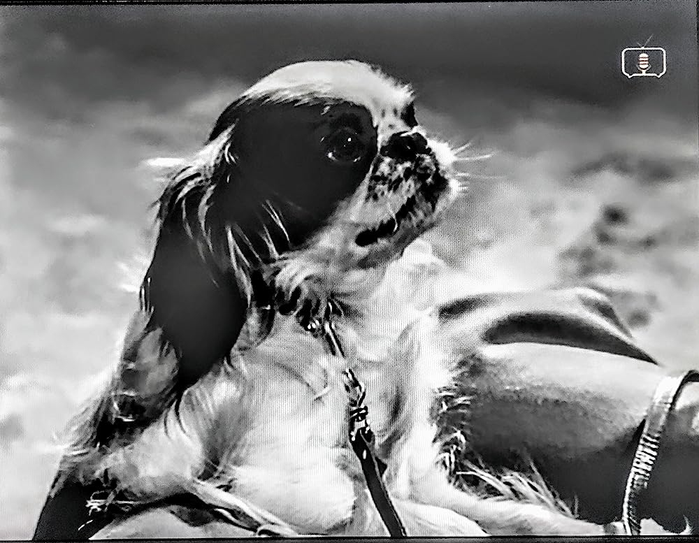 戦慄の七日間の画像