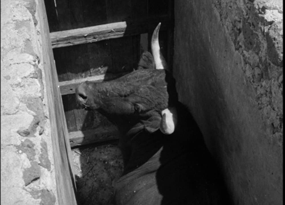 美女と闘牛士の画像