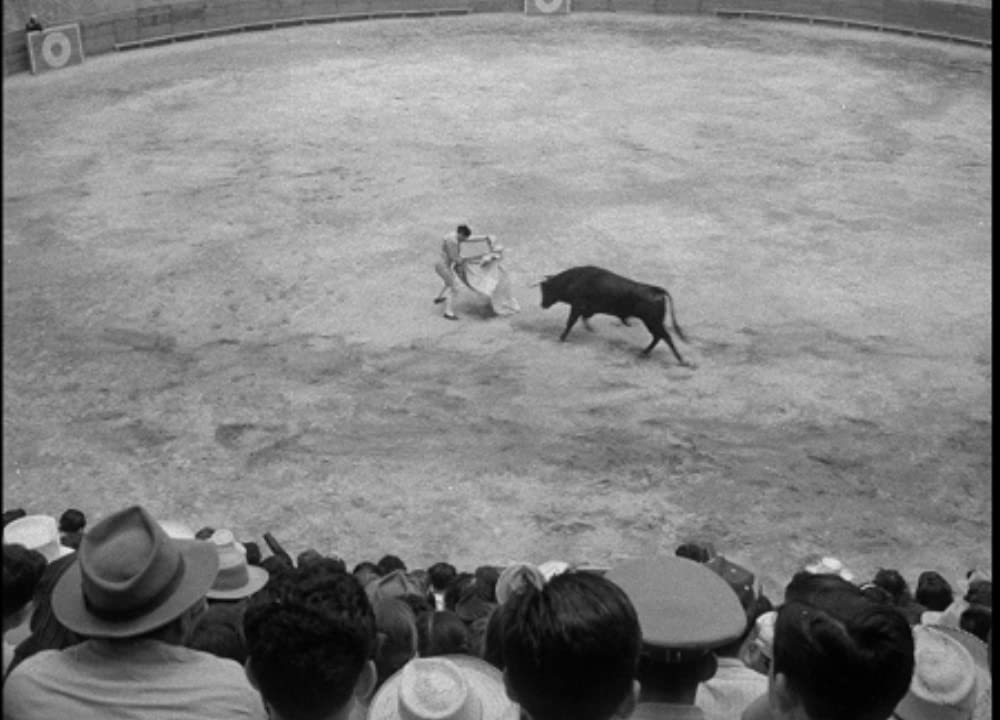 美女と闘牛士の画像