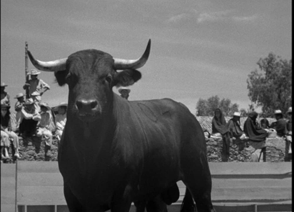 美女と闘牛士の画像