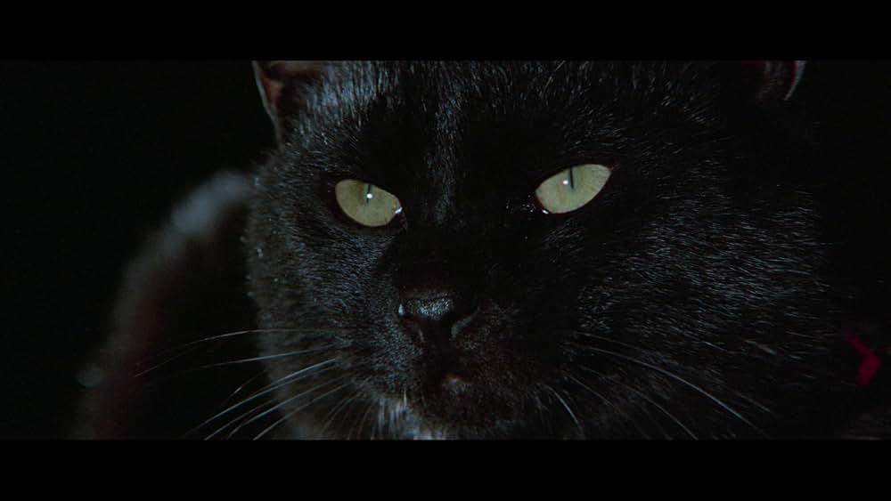 秘録 怪猫伝の画像